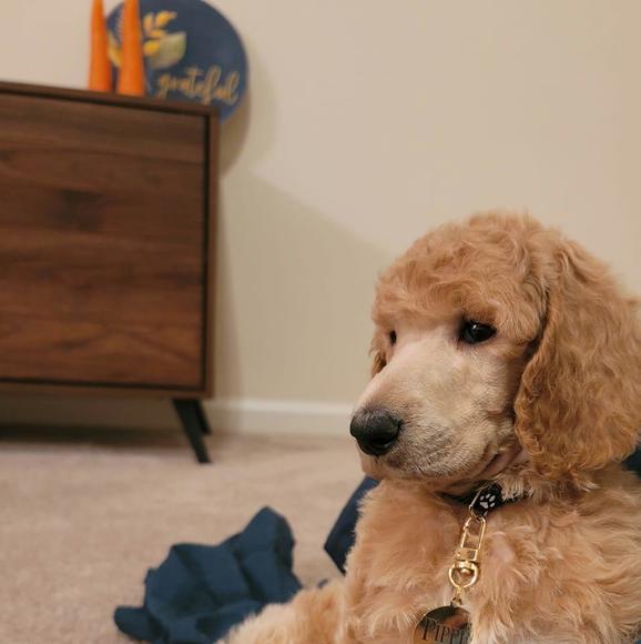 Meet your Posher, Heather - Picture 1 of 1